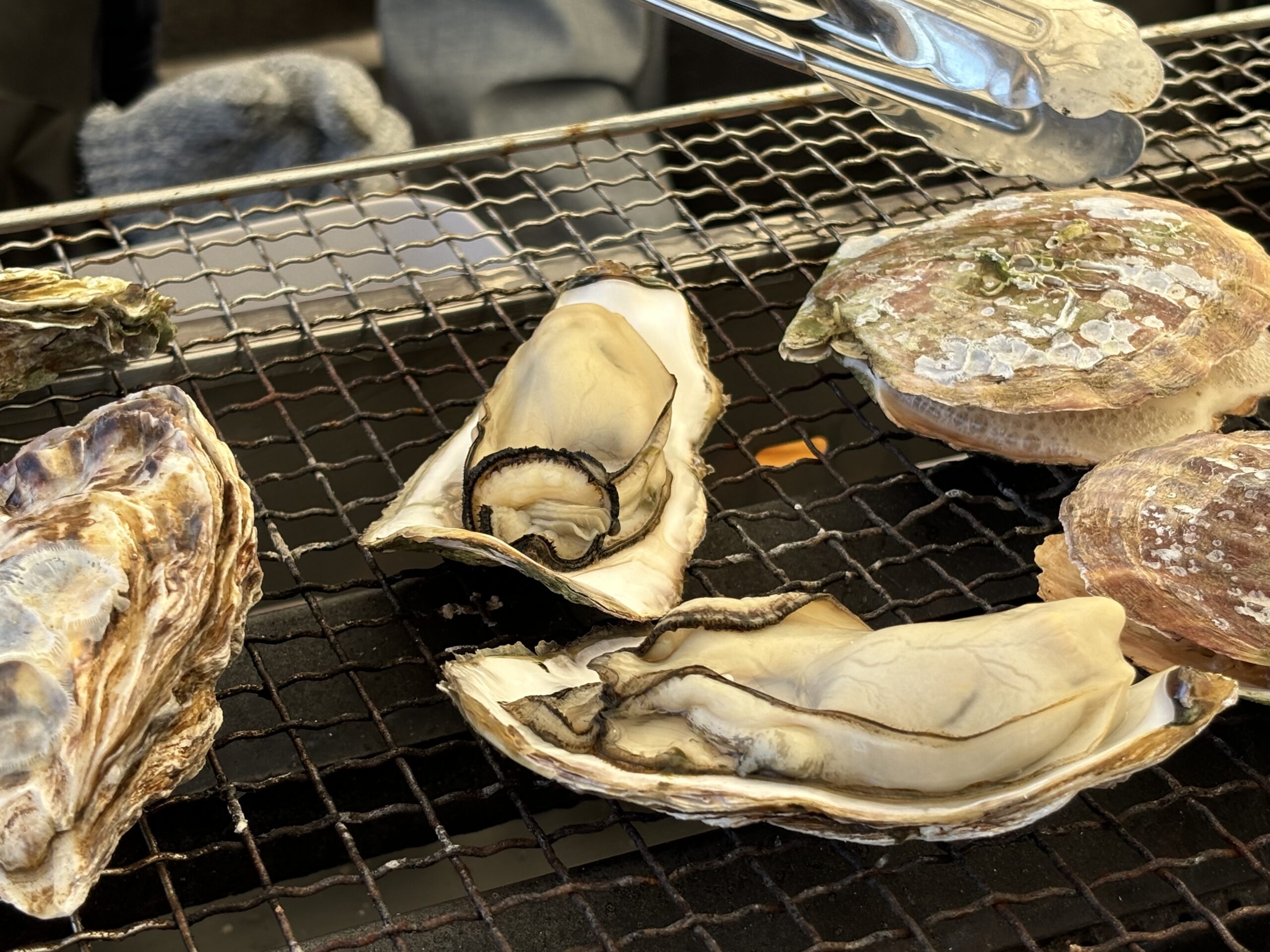 県内配達致します！牡蠣を焼くにもOK！商売繁盛間違えなし。 110396-98-